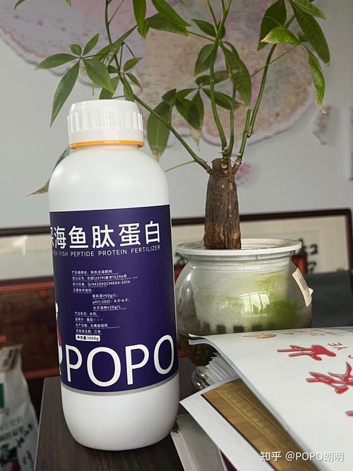 2026年3月葡萄种植者关注的专用肥料厂家技术路线剖析